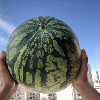 糖糖君78863于2019-06-07 07:10发布的图片