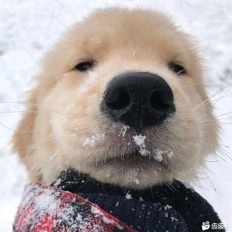 阿炸克斯于2019-06-09 20:50发布的图片