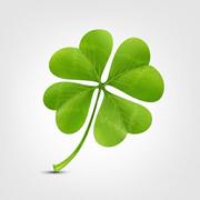 zdx的个人资料头像