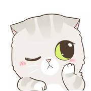 纸飞机不曾着陆的个人资料头像