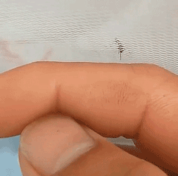 沙雕动图于2019-07-01 14:57发布的图片