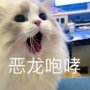 墨白33的个人资料头像