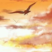 清灵的个人资料头像