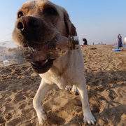 yudun1989的个人资料头像