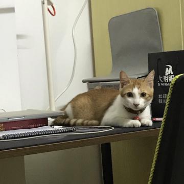 孑孑于2019-07-10 08:35发布的图片