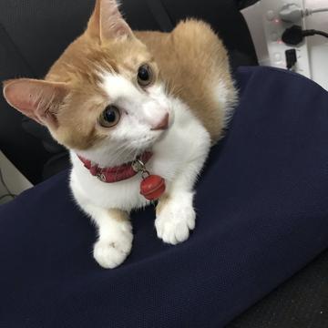 孑孑于2019-07-10 08:35发布的图片