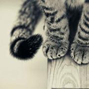 王睿027的个人资料头像