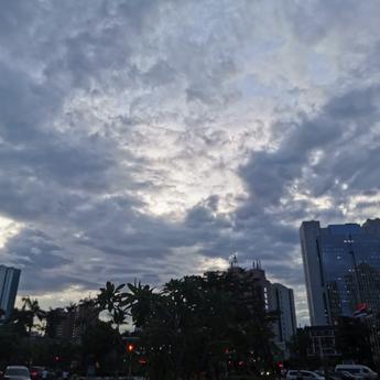 恋猫de小郭于2019-07-10 18:50发布的图片