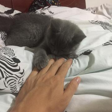 小云云不小_于2019-07-10 21:23发布的图片