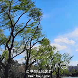 云四叶于2019-07-10 23:00发布的图片