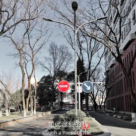 云四叶于2019-07-10 23:00发布的图片