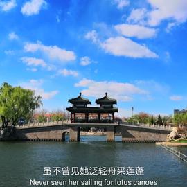 云四叶于2019-07-10 23:00发布的图片