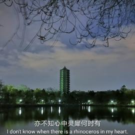 云四叶于2019-07-10 23:00发布的图片