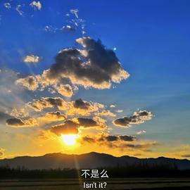 云四叶于2019-07-10 23:00发布的图片