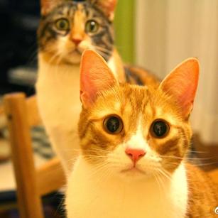 网路冷眼于2019-07-11 01:25发布的图片