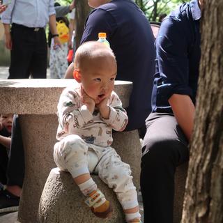 安石0于2019-07-11 08:44发布的图片