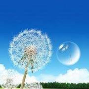 王小漠的个人资料头像