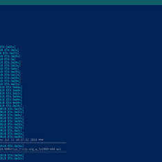 Bearman于2019-07-11 17:00发布的图片