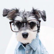 夏天的田的个人资料头像