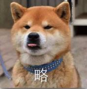 大小说家RCQ的个人资料头像