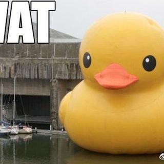 网路冷眼于2019-07-12 05:54发布的图片