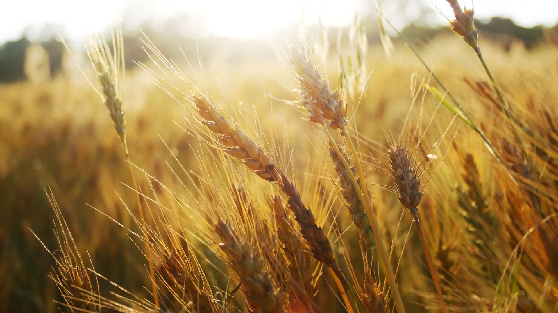 3e70a9d027964f667c3548ac3925e468