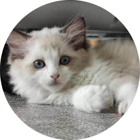 lcddjm于2019-07-12 11:55发布的图片