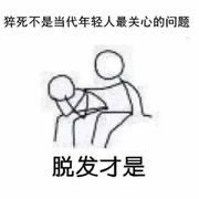 秃头少年的个人资料头像