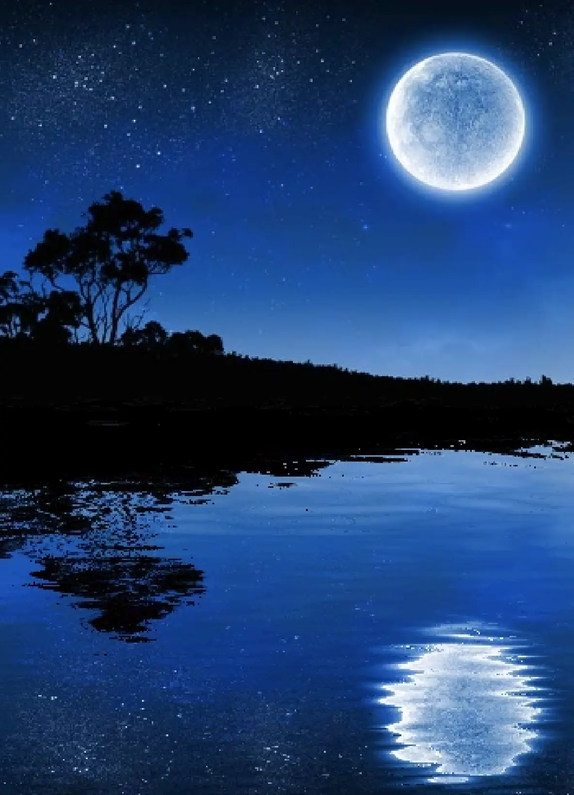 二维噪声示例（svg）2