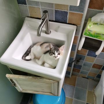 小遁哥于2019-07-14 16:02发布的图片