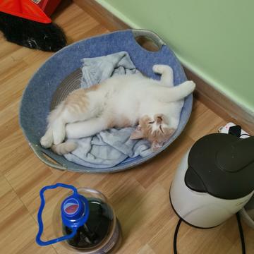 小遁哥于2019-07-14 16:02发布的图片