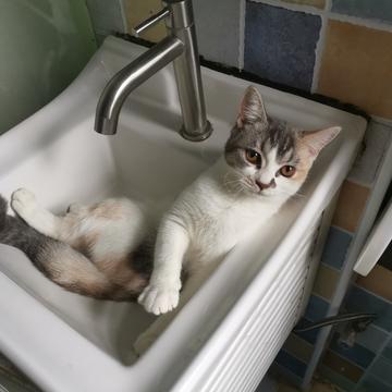 小遁哥于2019-07-14 16:02发布的图片