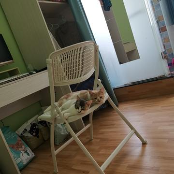 小遁哥于2019-07-14 16:02发布的图片