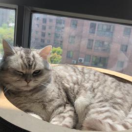 小张早睡早起于2019-07-14 19:03发布的图片