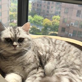 小张早睡早起于2019-07-14 19:03发布的图片