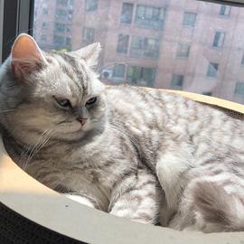 小张早睡早起于2019-07-14 19:03发布的图片