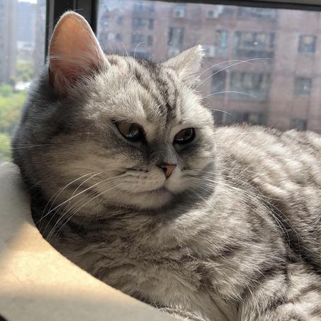 小张早睡早起于2019-07-14 19:03发布的图片