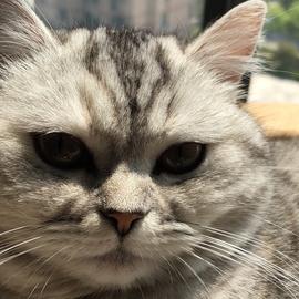 小张早睡早起于2019-07-14 19:03发布的图片