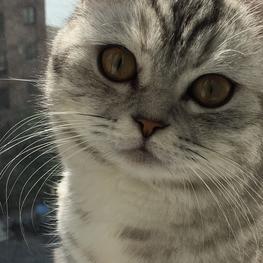 小张早睡早起于2019-07-14 19:03发布的图片