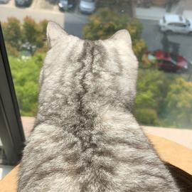 小张早睡早起于2019-07-14 19:03发布的图片