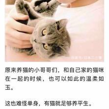 newrain_zh于2019-07-14 22:15发布的图片