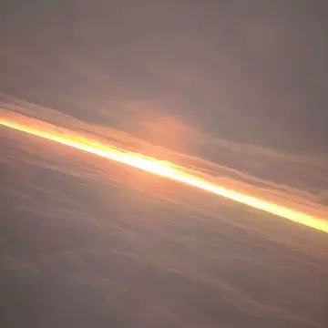 Focusing于2019-07-15 09:49发布的图片