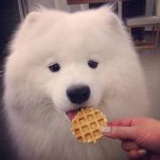 TreaNN的个人资料头像