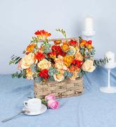 青青如此的个人资料头像