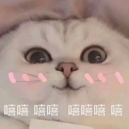 浪崽c于2019-07-15 23:44发布的图片