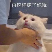 Marinaio的个人资料头像