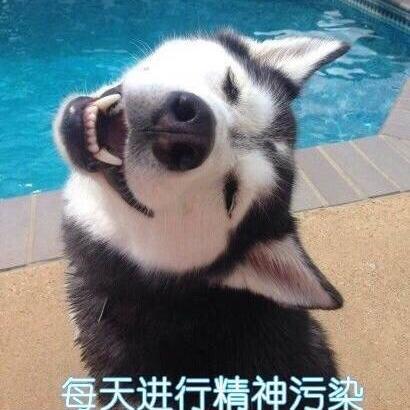孟西洲于2019-07-16 01:53发布的图片