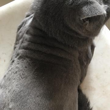 Herry豿子于2019-07-16 18:12发布的图片