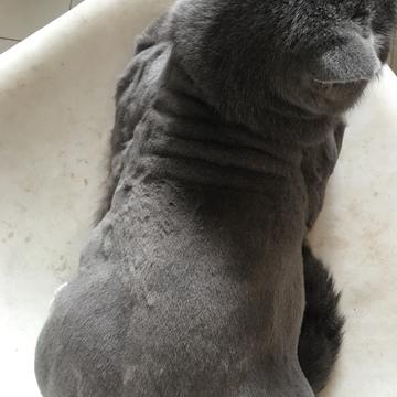 Herry豿子于2019-07-16 18:12发布的图片