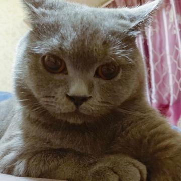 Herry豿子于2019-07-16 18:12发布的图片